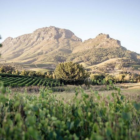 스텔렌보스 Le Pommier Wine Estate 빌라 외부 사진