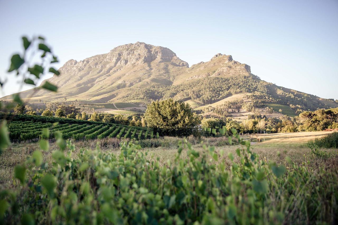 스텔렌보스 Le Pommier Wine Estate 빌라 외부 사진
