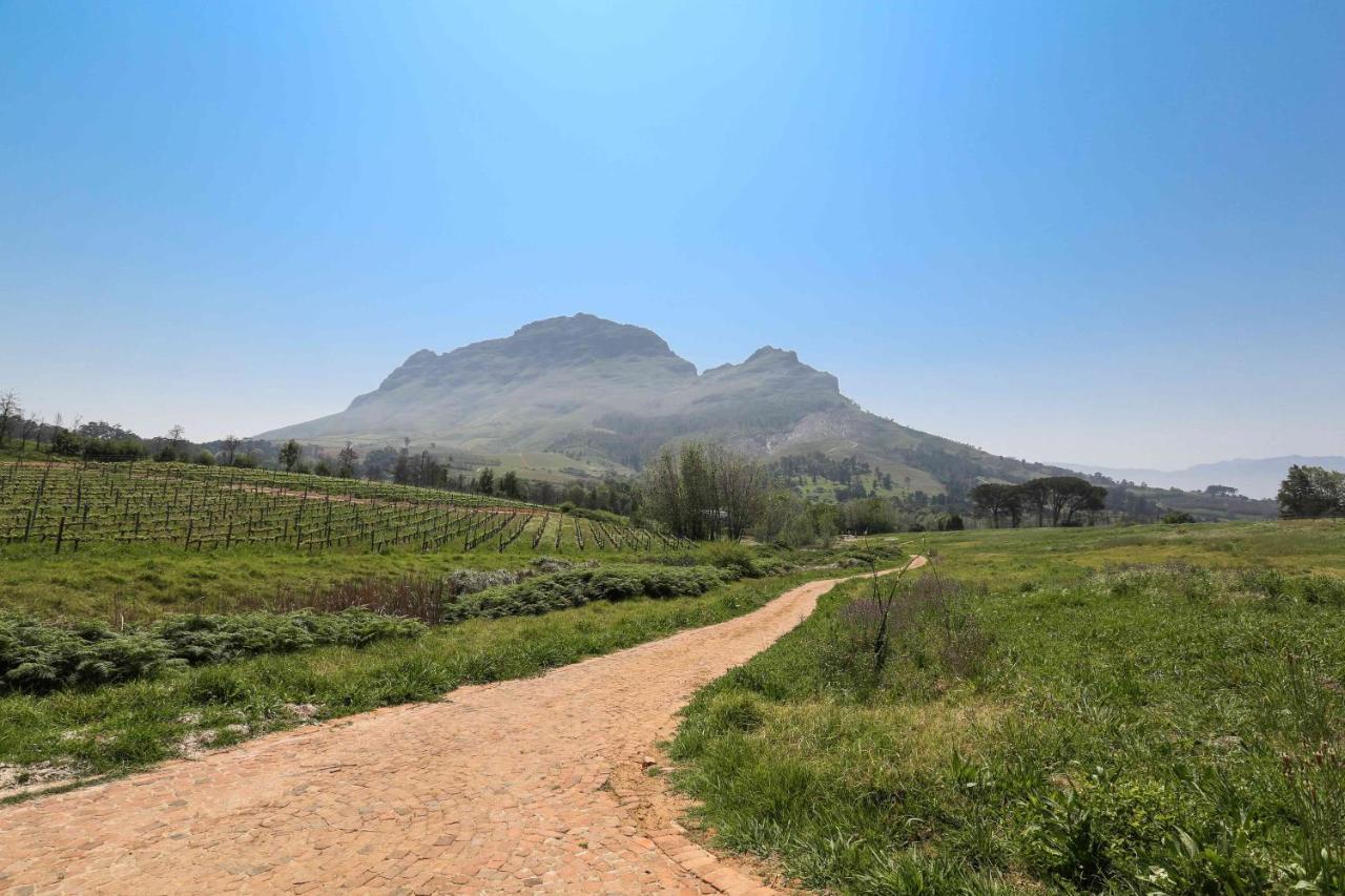 스텔렌보스 Le Pommier Wine Estate 빌라 외부 사진